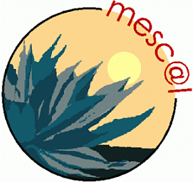 The MESCAL Project